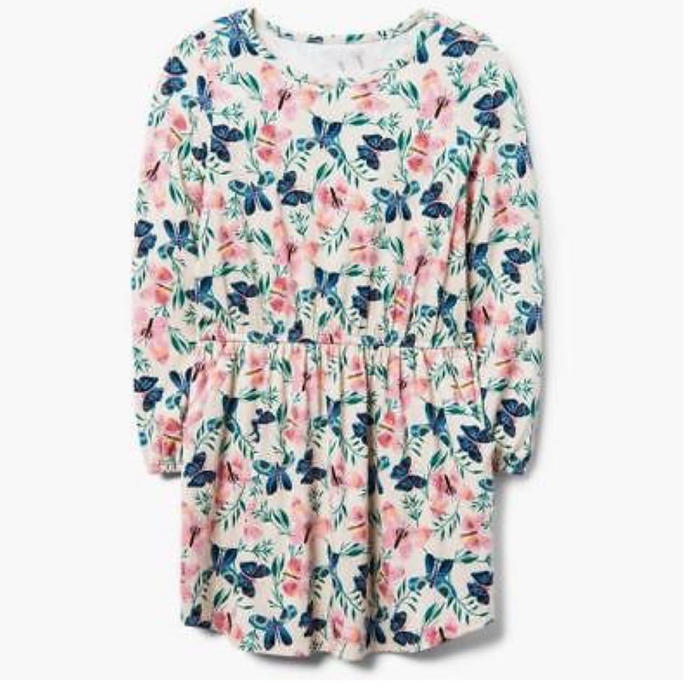 Gymboree Butterly Dress